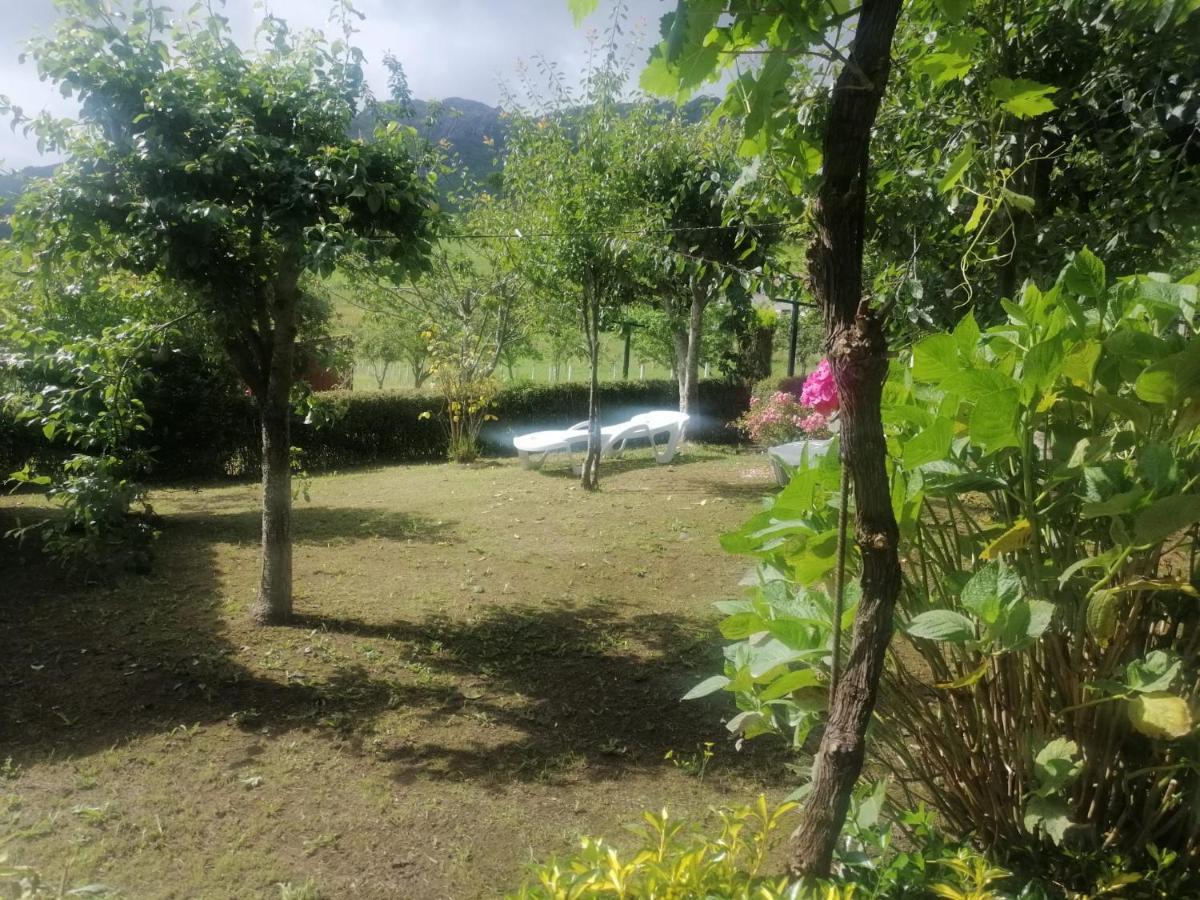 Apartamentos Casa Rural La Quintana Inguanzo Arenas De Cabrales Eksteriør billede